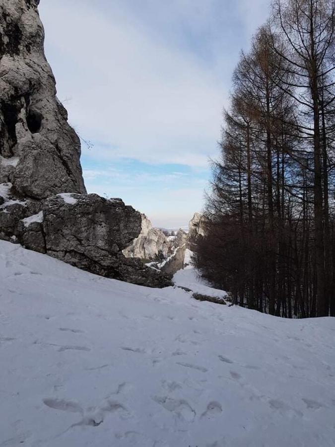 Pokoje Przy Zamku Podzamcze  Екстер'єр фото